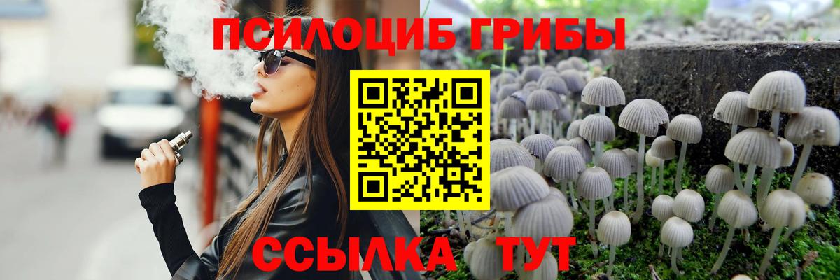 Гусиноозёрск  Псилоцибиновые грибы Magic Shrooms  сколько стоит  Вход с VPN 
