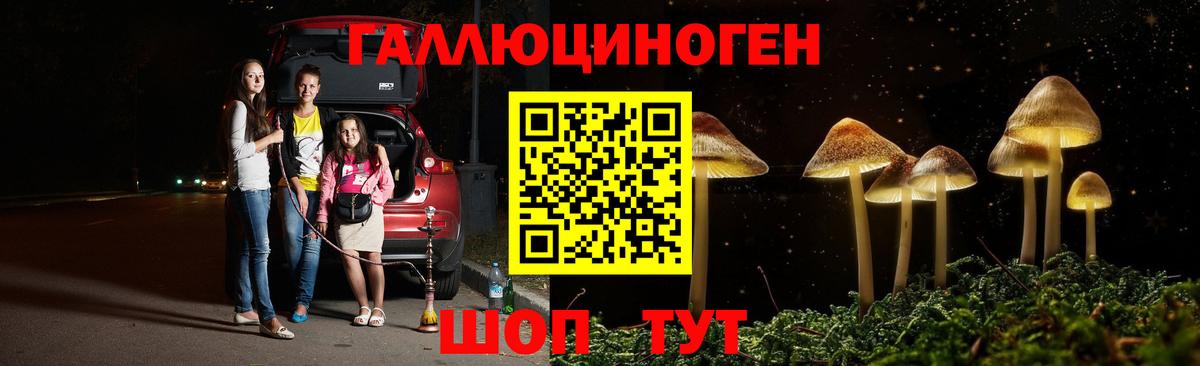 Псилоцибиновые грибы GOLDEN TEACHER Гусиноозёрск